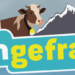 Nachgefragt