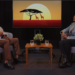 African Voices in Europe | Opeyemi