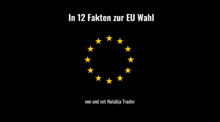 12 Fakten zur EU Wahl