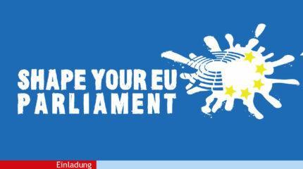 Abschlussveranstaltung des Projekts “Shape your EU Parliament”