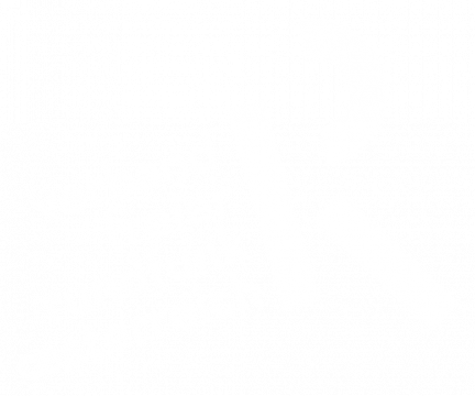 VFRÖ Logo